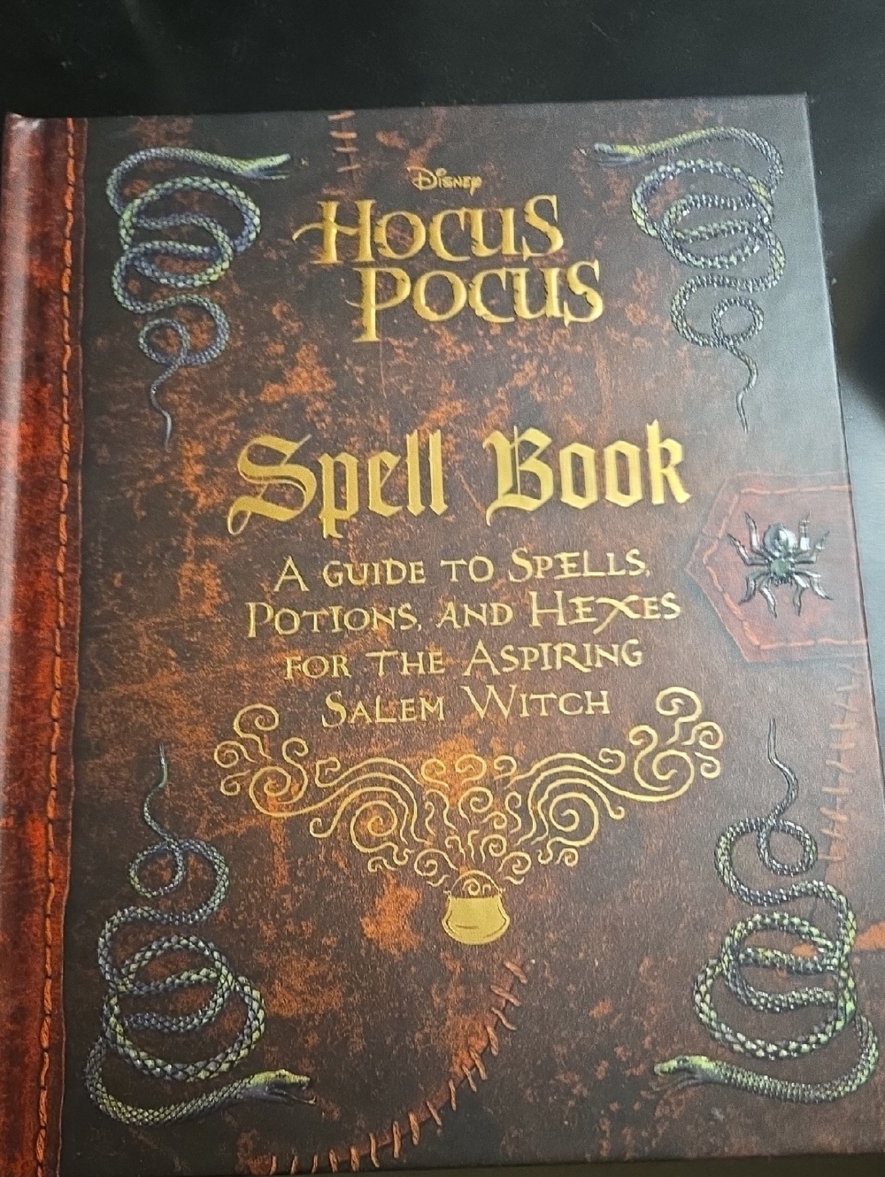 Disney Hocus Pocus Spell Book – Brown & Gold